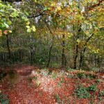 👉 Bien vieillir grâce au numérique : le guide complet et inspirant 2025